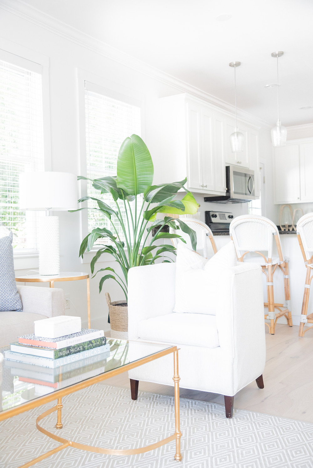 Andrea Kinnear Photography- Charleston Photographer-Interior Decorating-Andrea Kinnear-Megan Ann McFarland-Charleston