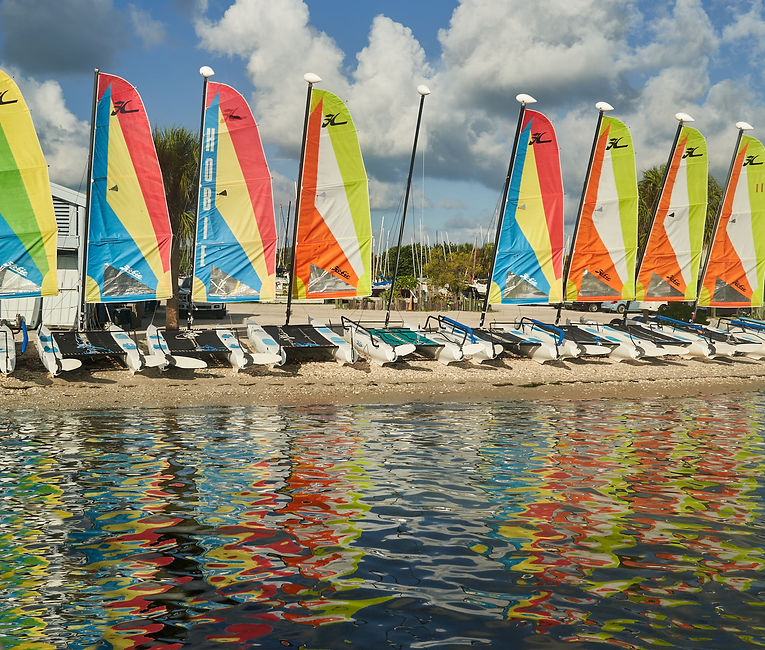 hobies-on-the-beach.JPG