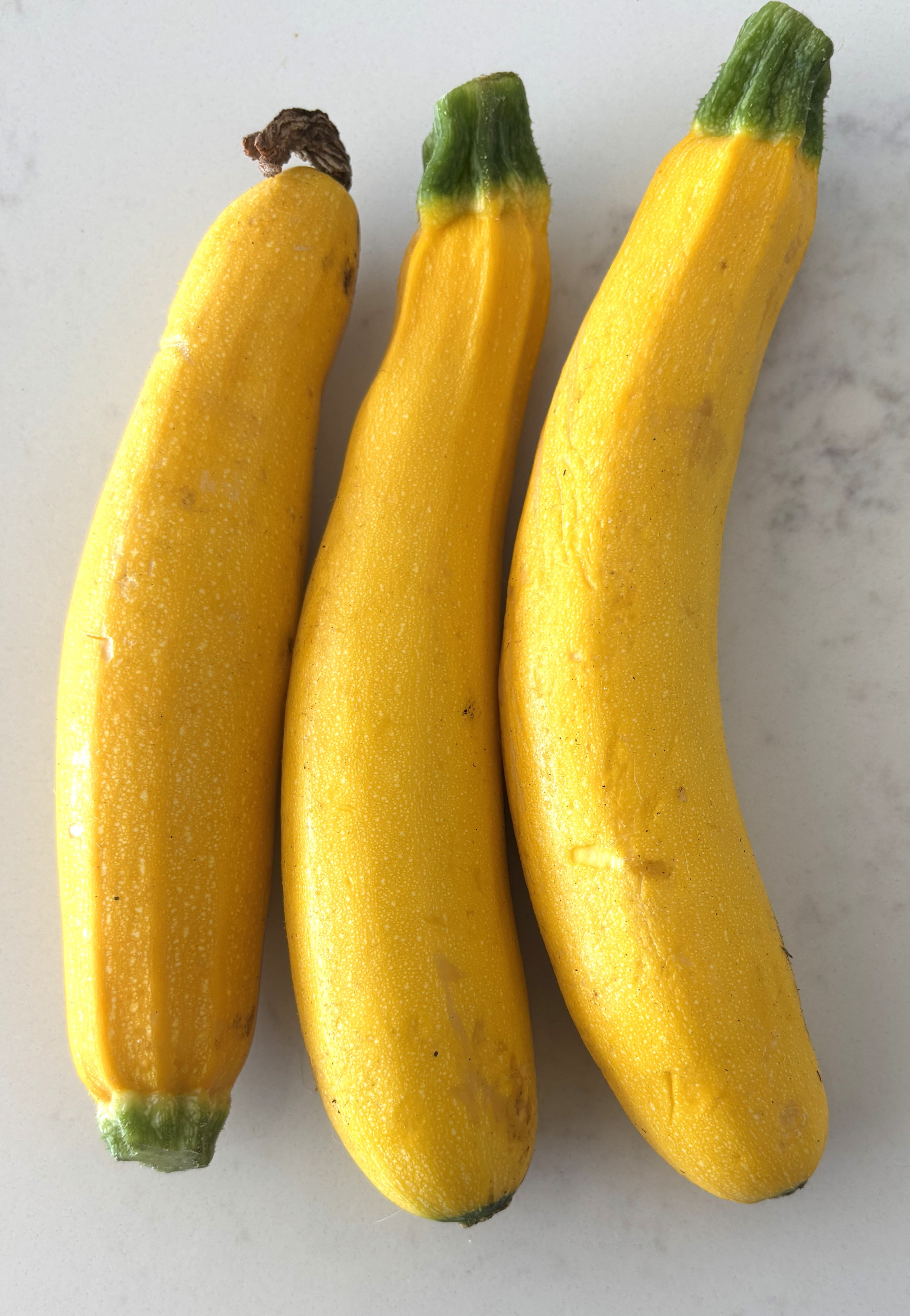 Courgette yellow