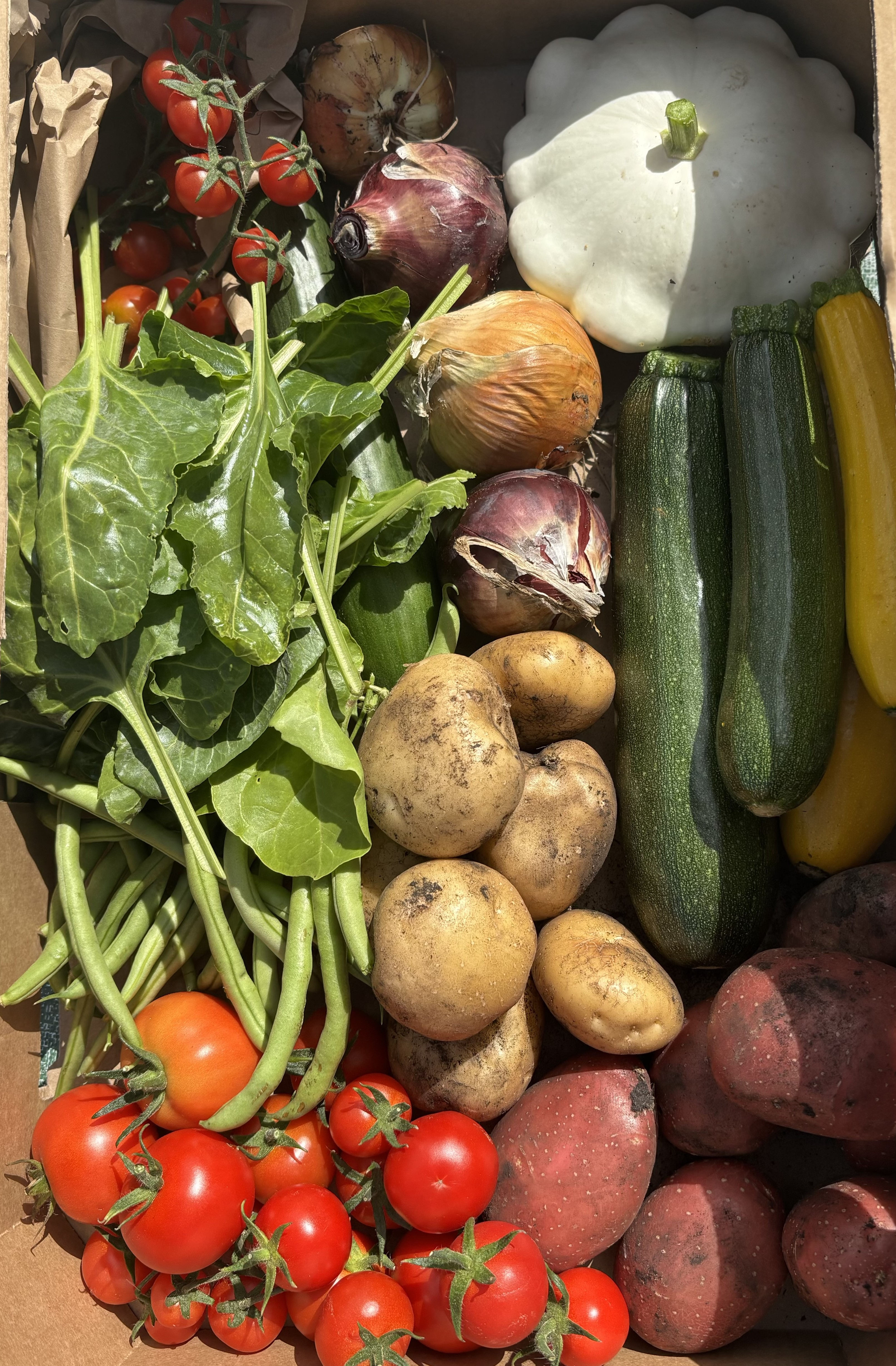 Large Mixed veg box with nutrition rich microgreens