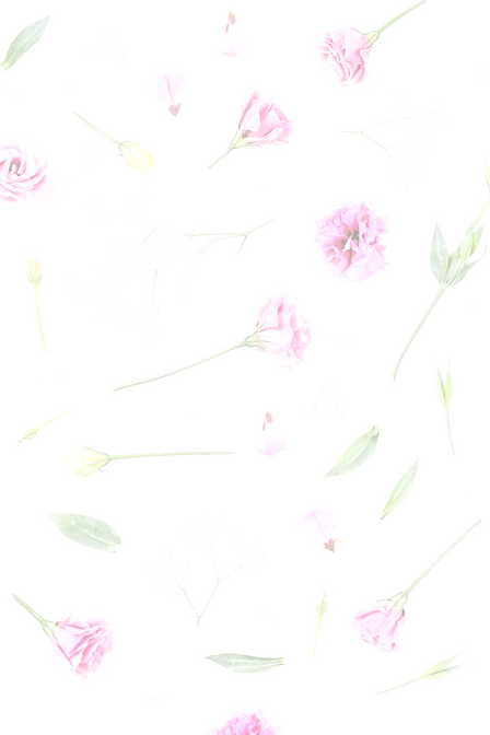 Pink Roses_edited_edited.png