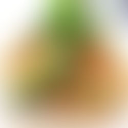 Jicama Avocado Salad