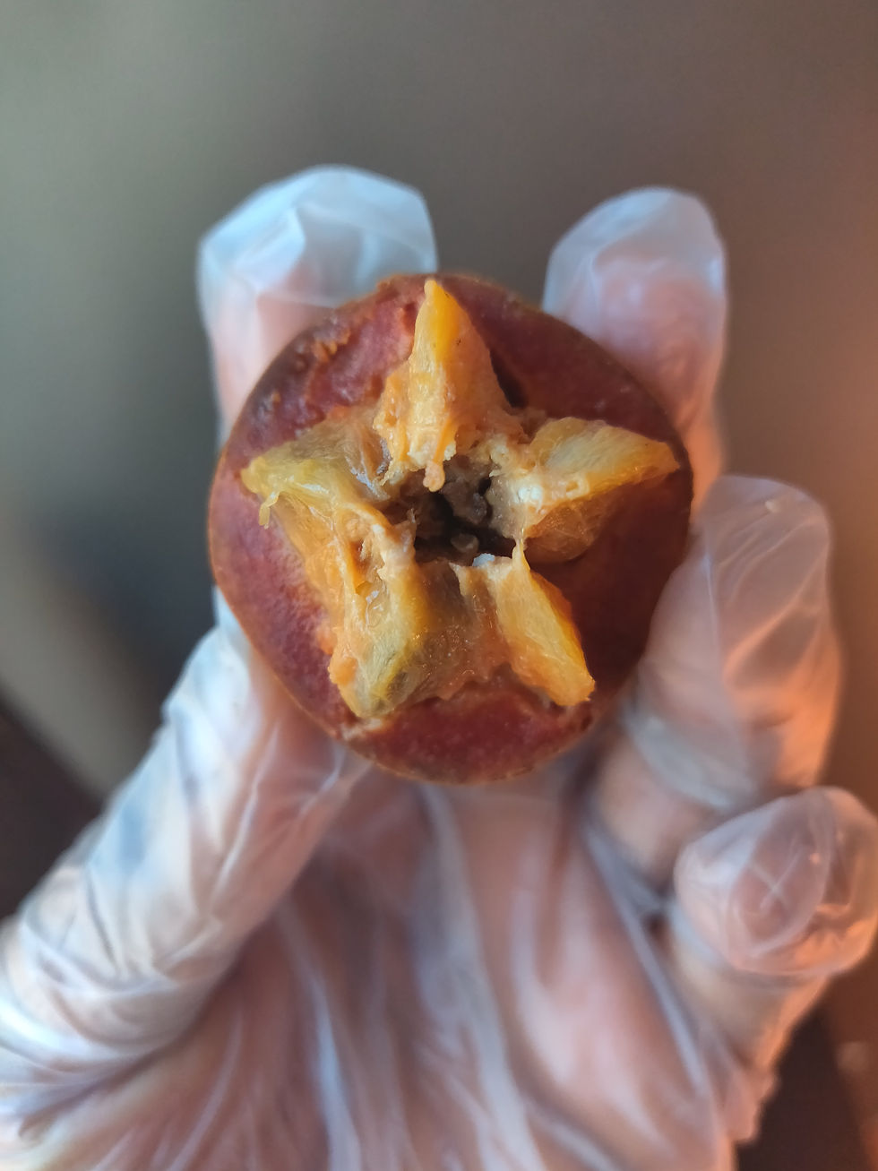 Thumbnail: Agbalumo/ Udara - African Star Apple  - 6 pieces