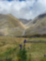 IMG-20250830-WA0019