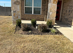Beautifully designed flower bed project completed by Mow X, showcasing vibrant plants and professional landscaping care