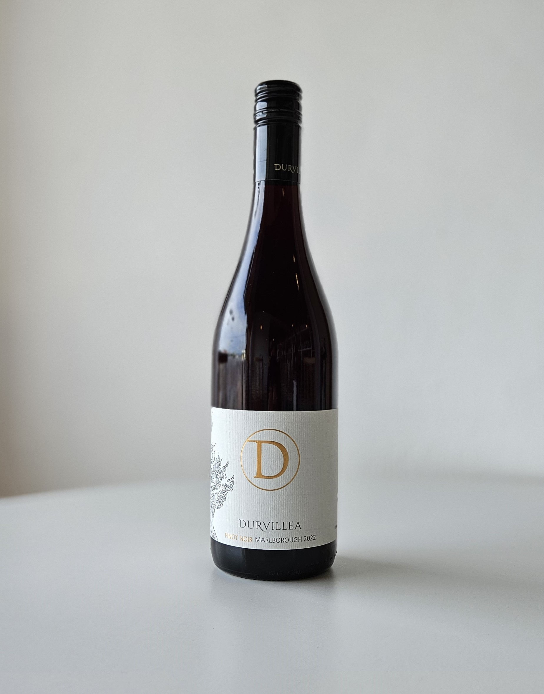 아스트로라베 듀르빌레아 피노누아