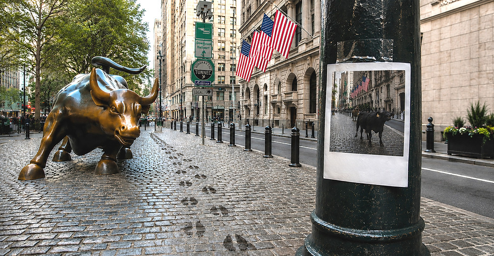 Bull in Wall Street-Polaroid.jpg