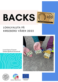 skriftserie_lokalvaluta (A5-dokument).png