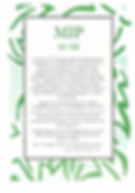 p1.png