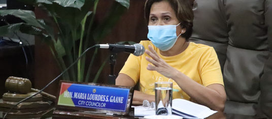 Health Com discusses JRBGH procedures in handling animal bite cases