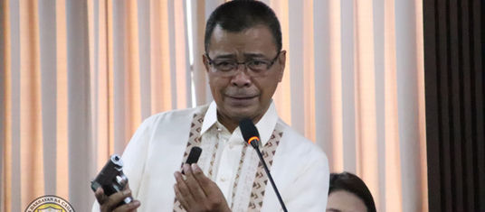 Selling of toy guns should be regulated, prohibited -Calizo