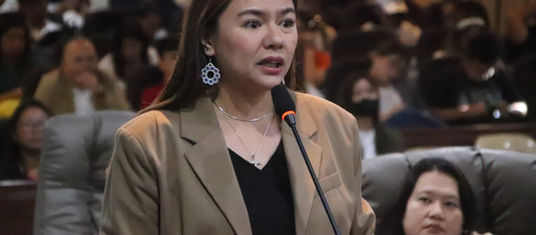 Moreno bucks resolution on Rio Verde’s application