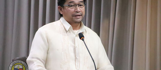 SP backs barangay ordinance vs worst forms of child labor