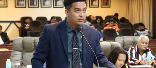 Abbu misugyot sa Konseho nga mangilabotsa pagsulbad sa problema sa COWD