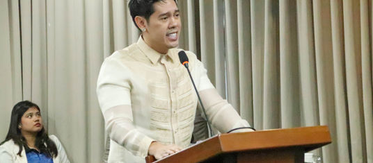 Permanenteng barangay hall sa pipila ka lugar gisugyot ni Suan