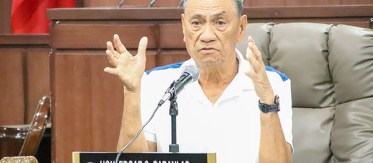 Survey, legal review on Carmen hoa lot donations sought