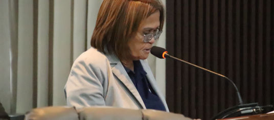City to ink pact with higher education institutions for student training at JRBGH
