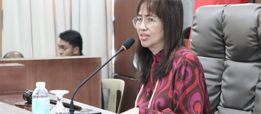 Supplemental budgets of three barangays okayed