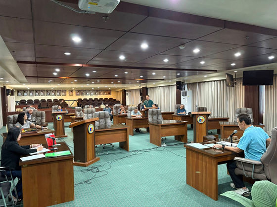 Cabanlas mipasalig magpadayonpagtabang sa homeowners assn