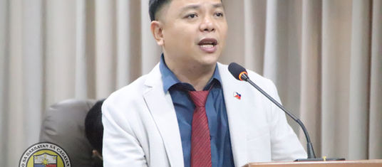 Judith bats for biz permit renewal on anniversary date of issuance