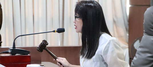 Ad hoc body to tackle recommendations, proposed amendments of approved IRP