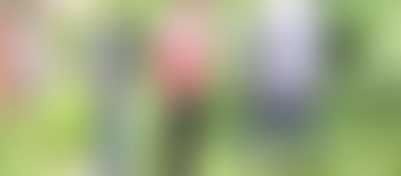 Esparcia nahingawa sa kahimtang sa sapa Bantiles, Gemelina