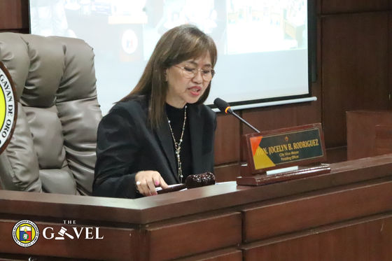 Mga kursong gitanyag sa City College aprobado sa Konseho