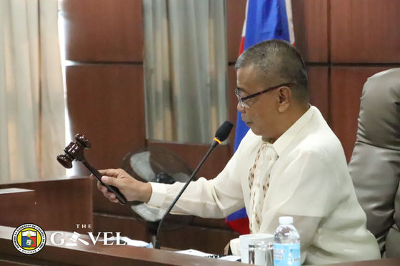 SP allots ₱95-M for peace and order, public safety next year