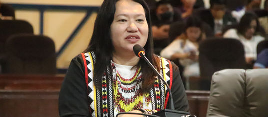 Pagbag-o sa ngalan sa Camansi Integrated School giuyonan sa Konseho