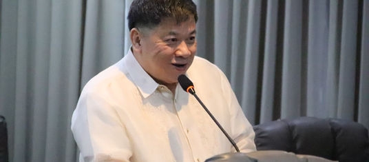 Programa, proyekto sa Brgy 8 mapatuman na