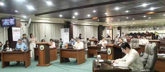 DRRM-Health Plan aprobado sa konseho