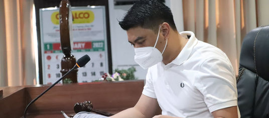 Annual Budget sa Brgy. No. 10 giaprobahan sa konseho