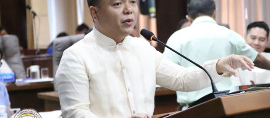 Judith proposes names for numbered barangays