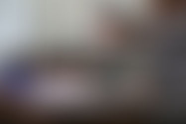 City Vet submits monthly report to SP