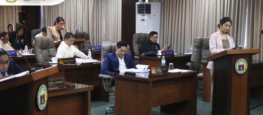 OSAEC ordinance might be redundant to national law - Emano