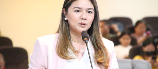 Imee appeals for extensive data gathering in barangays