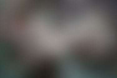 Oro dads approve annual budgets of 2 barangays