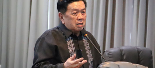 Goking attends workshop on streamlining permit issuance