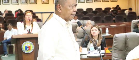 Calizo mihangyo sa City Vet paghipos sa latagawng iro sulod sa subdivisions