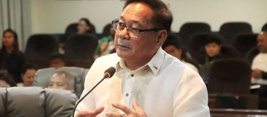 Abaday: Contractors, DPWH must replace trees affected by infra projects  