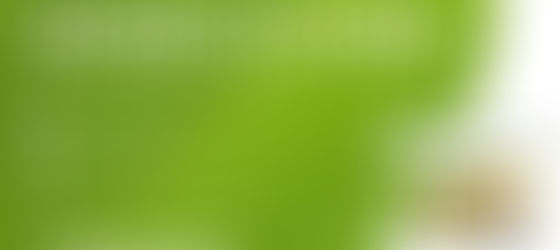 Councilor Go invites seniors to free online session on benefits, privileges