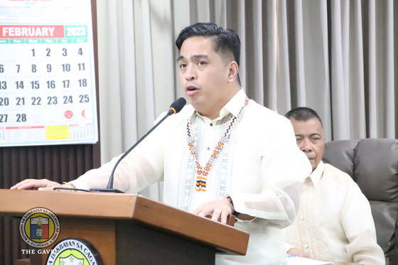 Hangyo sa Food Panda riders tukion sa 3 ka komite sa Konseho