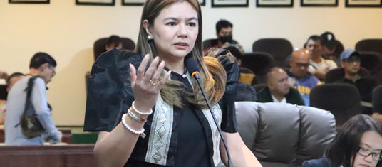 Konsehal Moreno misugyot pagpalit og decibel meter