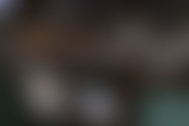 Ordinansa nga nag-establisar ug purok system sa kabarangayan, giuyonan sa Konseho