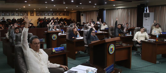 Ordinansa nga nag-establisar ug purok system sa kabarangayan, giuyonan sa Konseho