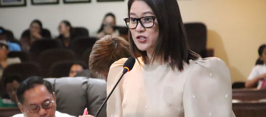 Balaba calls for further review of COWD, COBI contract
