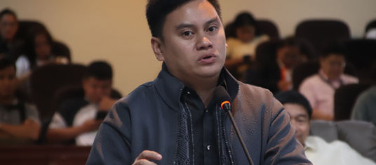Proyekto sa DTI nga waste-to-energy incineration project gihingusgan-Pascual