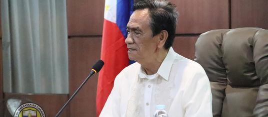 More cell sites, opticalbroadband facilities urged