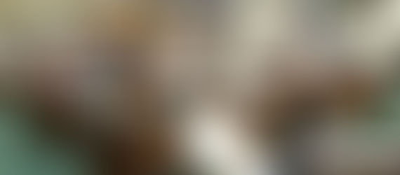 Konseho mipasidungog sa COCPO sa malinawong rally sa syudad