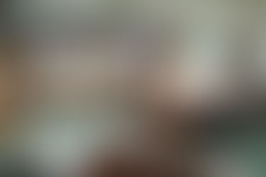 Dads okay City College institutional partnership